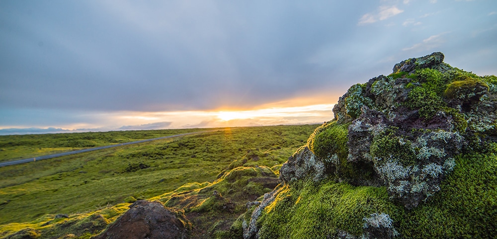 Moss covered landscape in Iceland on a summer night